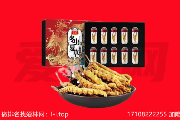 巴南区回收虫草.jpg